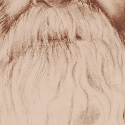 Retrato de Rabindranath Tagore